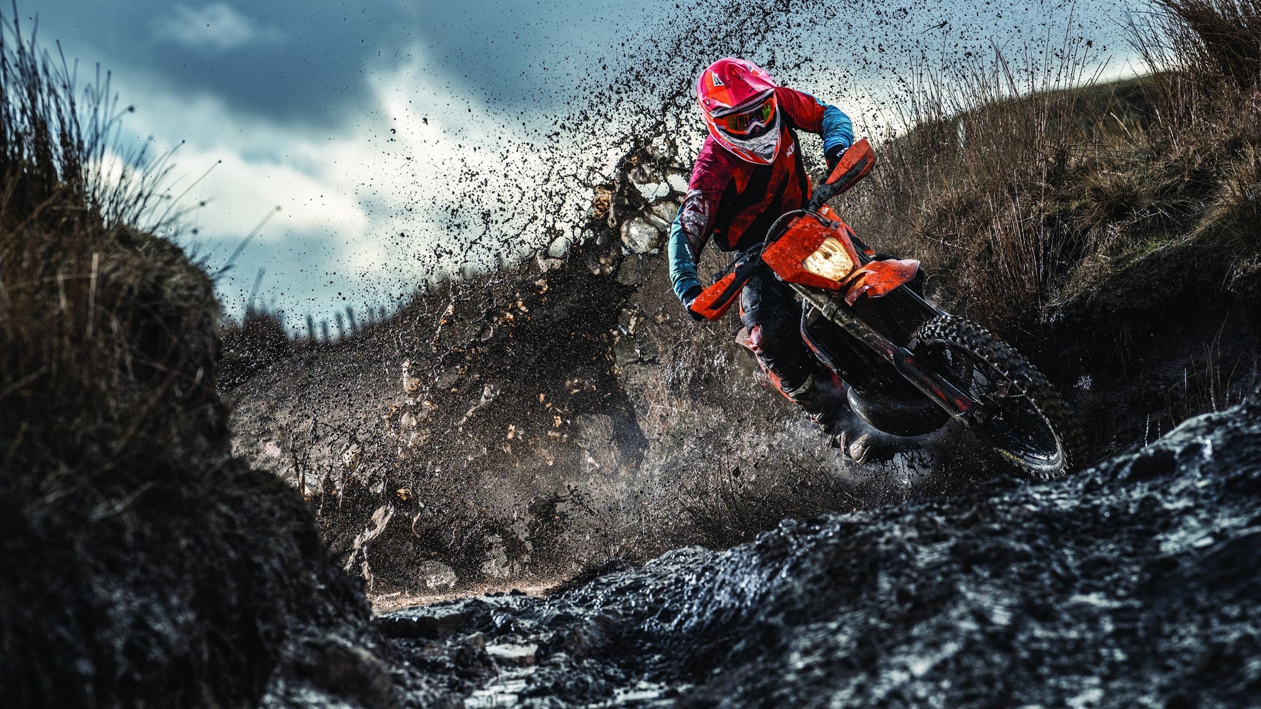 开云体育官网下载-领先还是保守？策略抉择的博弈，领先策略和滞后策略区别